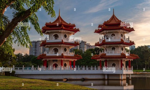 医用指套是什么东西-戴医用指套上药图片网 - 医用指套和医用手套有什么区别,医用指套是什么东西