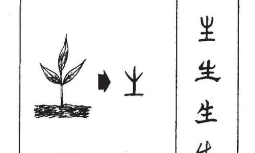 医用指套和医用手套有什么区别-戴医用指套上药图片网 - 医用指套和医用手套有什么区别,医用指套是什么东西